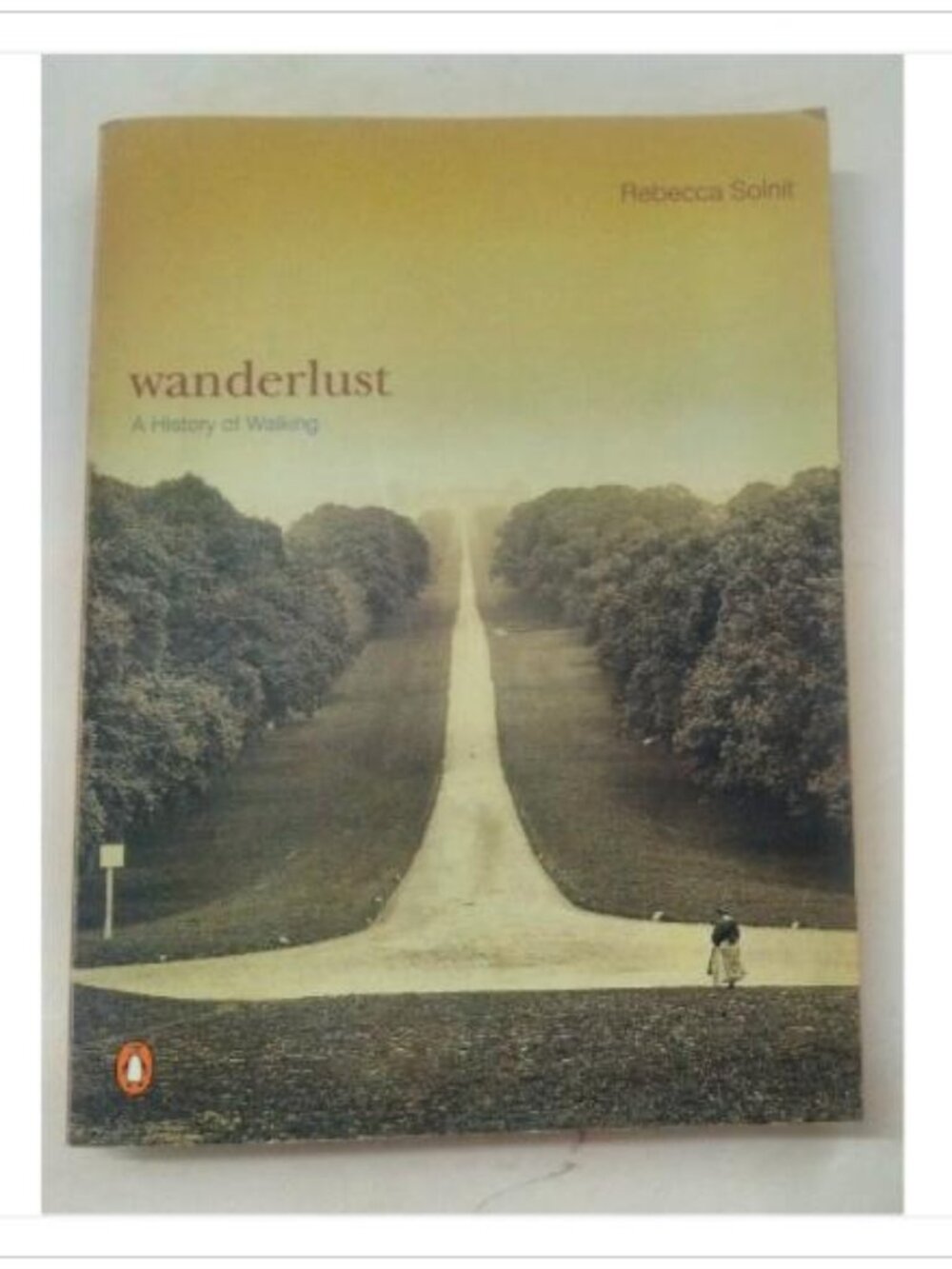 Wanderlust A History of Walking Penguin Books 2001 PB